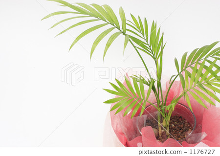 Relaxing image 1176727