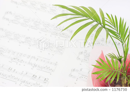 Relaxing image 1176730