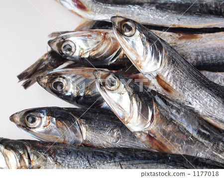 沙丁魚全圓幹 沙丁魚全圓幹 1177018