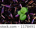 Inorganic and organic 1178491