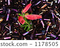 Inorganic and organic 1178505