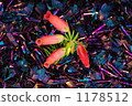 Inorganic and organic 1178512