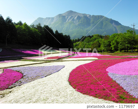 春天的顏色圖案和清新的綠色山。 1179697