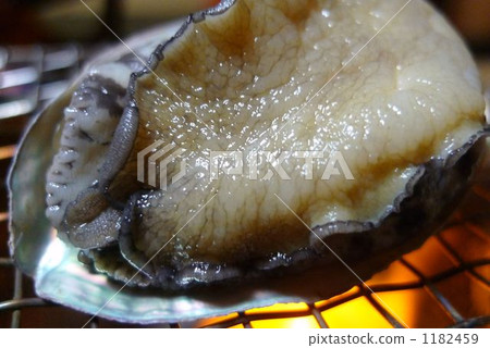 abalone, ear shell, odori yaki 1182459