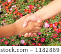Handshake, handclasp, handshake 1182869