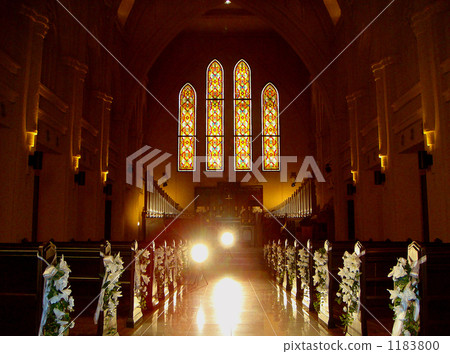 他們光輝的未來 他們光輝的未來 1183800