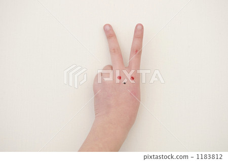 Rabbit in child's hand 1183812