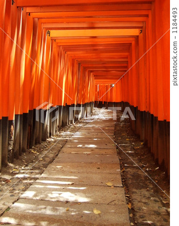 伏見稲荷 鳥居 鳥居門 1184493