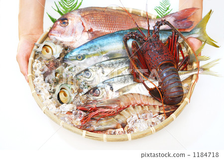 Assorted seafood Assorted seafood 1184718