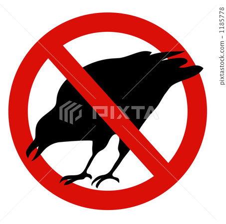 Crow Attention image Crow Attention image 1185778