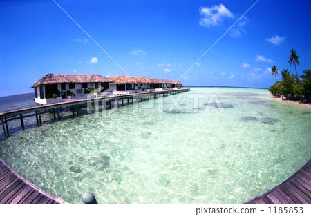 Tropical water cottage 1185853