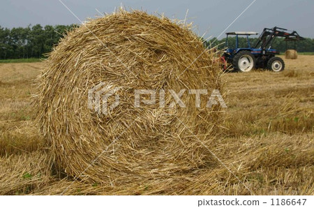 Roll pasture of 500 kg of one piece is a masterpiece 1186647