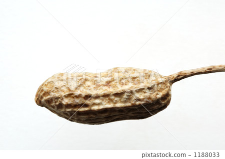 Peanut with shell 1188033