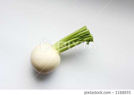 小蘿蔔 小蘿蔔 1188035