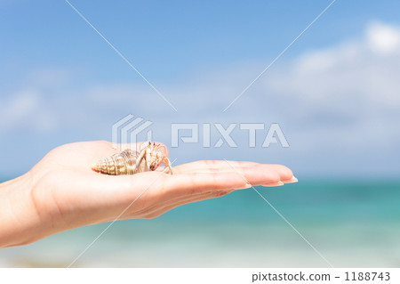 藍天和寄居蟹 1188743