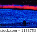 Two of Aurora (Aurora Illumination) Two of Aurora (Aurora Illumination) 1188753