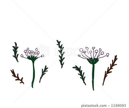 Flower illustration. Scandinavian simple and natural material 1189093