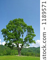 Summer hills 1189571