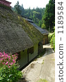 The thatched road 1189584