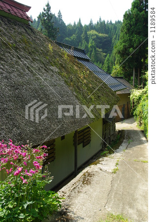 The thatched road The thatched road 1189584