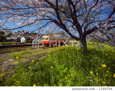 在Satomi駐地附近的Kominato鐵路 1189704