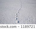 雪地足跡 1189721