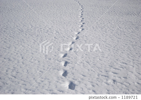 雪地足跡 1189721