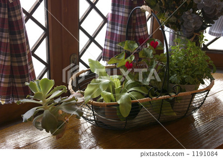 窗簾 窗帘 在窗戶旁 1191084