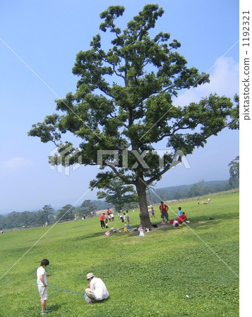 Holiday plateau Holiday plateau 1192321