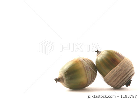 Acorn 2 pieces Acorn 2 pieces 1193787