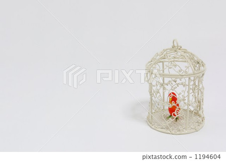 Basket of birds 1194604