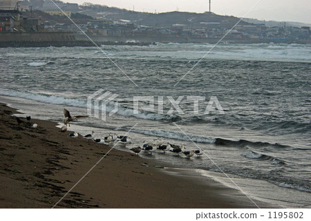 Ebetsu walking in Hokkaido · Sea of Esse 1195802