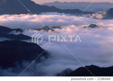 Dyed sea of clouds 1196080