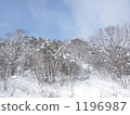Under the winter tree Under the winter tree 1196987