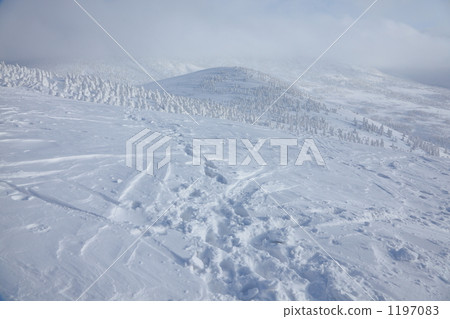Hakkoda ski area 1197083