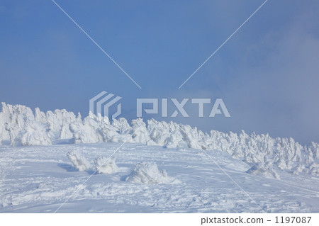 Winter's Hakkoda Tamoji Mt. Winter's Hakkoda Tamoji Mt. 1197087