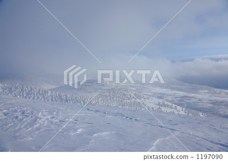 Rake of Hakkoda Rake of Hakkoda 1197090