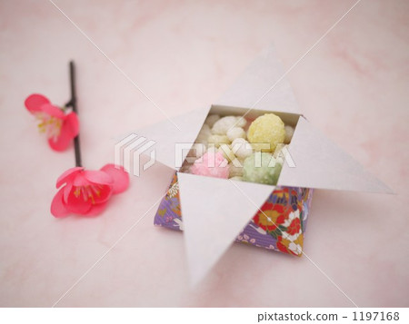 Hina Hare 1197168