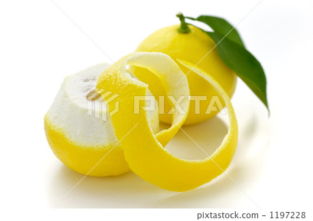 Hyuga summer 1197228