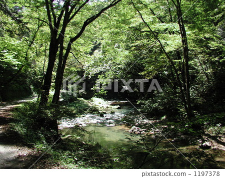 Teiji Gorge 1197378