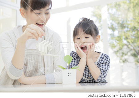 little girl, teenage girl, young girl 1197865