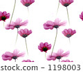Furi .. Cosmos 1198003