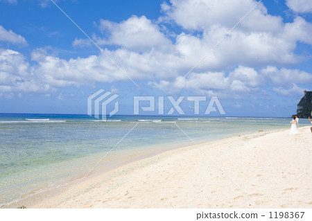 南國 南方島嶼 南方 1198367