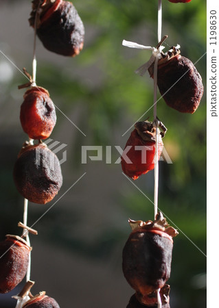 幹柿子 幹柿子 1198630