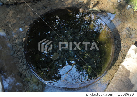 Meiji Jingu Shrine Kiyosui Power Spot 1198689