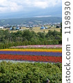 [KAZ] Carpet of seven colors and Furano 1198930