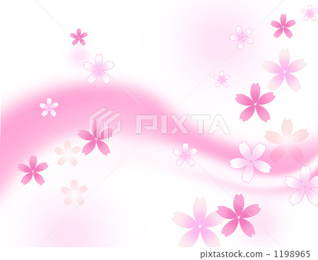 Cherry Blossoms Cherry Blossoms 1198965