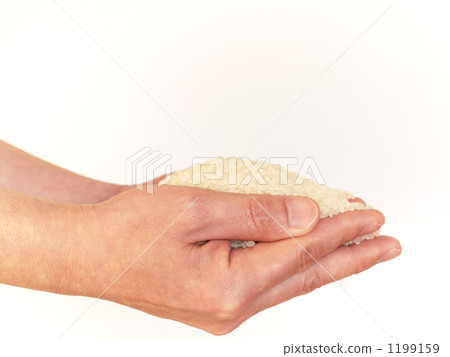 重要 重要 1199159