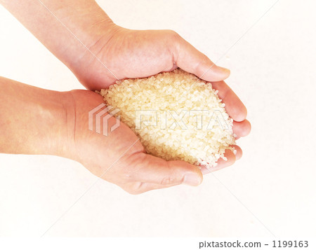 Shoot scooped rice from above 1199163