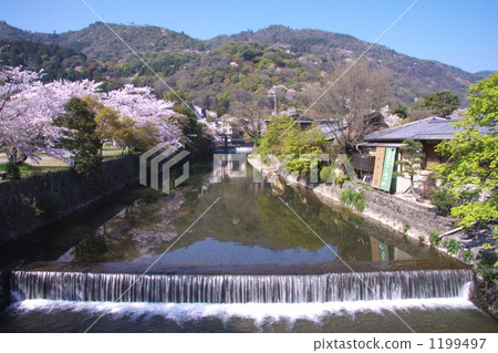 春天嵐山 春天嵐山 1199497